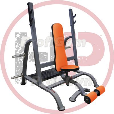 Скамья для жима сидя  ProfiGym-СК-0070-Н